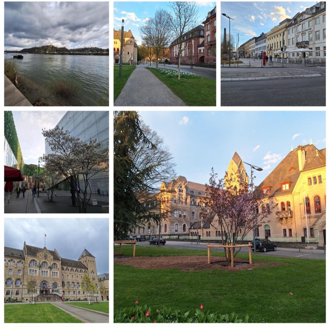 Tinyflat33 In Koblenz Mit Internet Balkon Stellplatz Magenta Tv